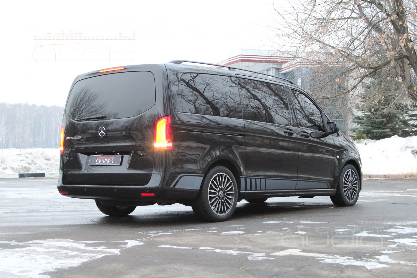 Камера заднего вида, Vito и Alpine