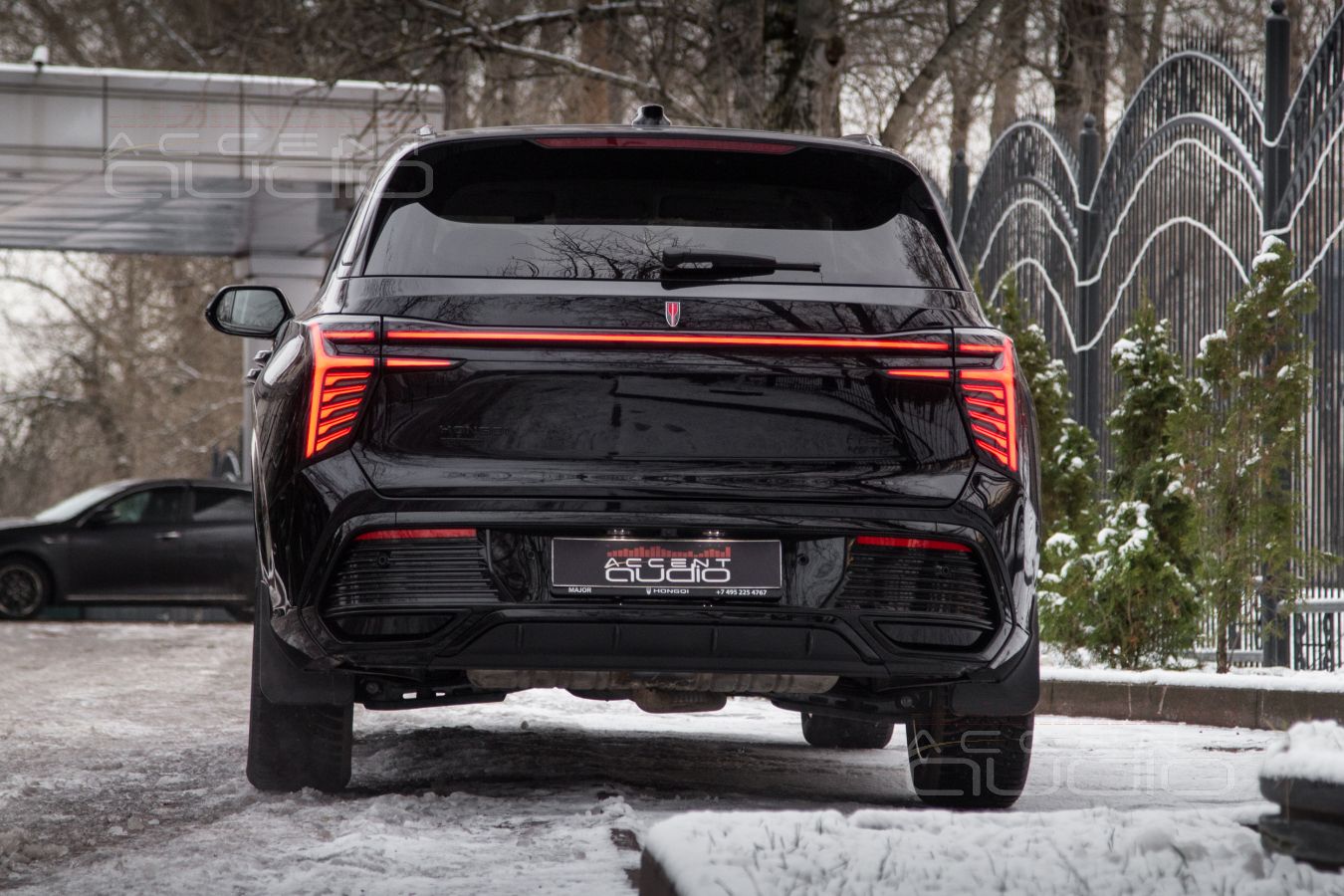 Звук, достойный Красного Знамени и премиального значения марки Hongqi
