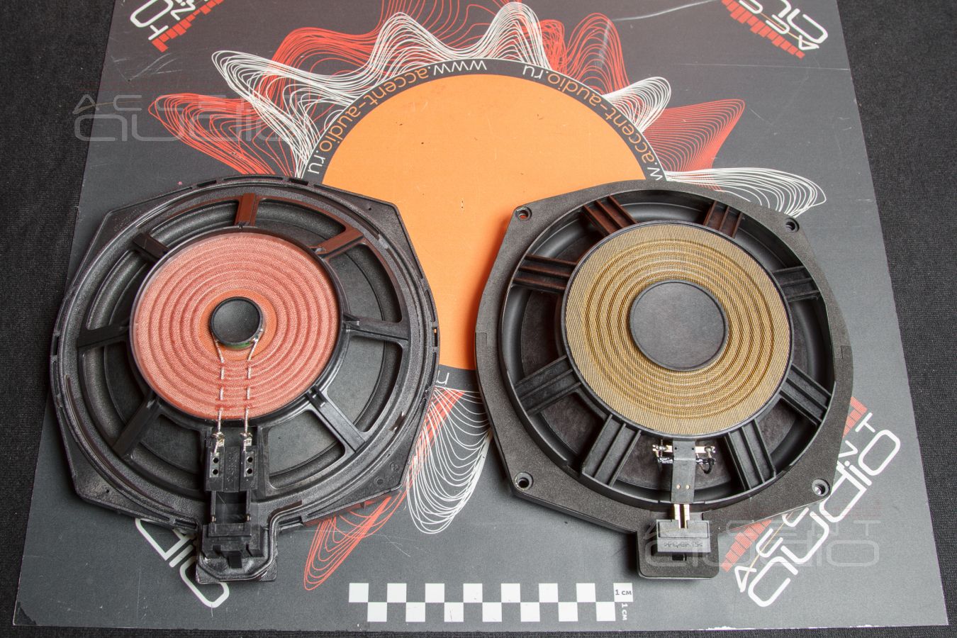 Подсидельные вуферы Eton B 195 Neo в BMW X6 III (G06)