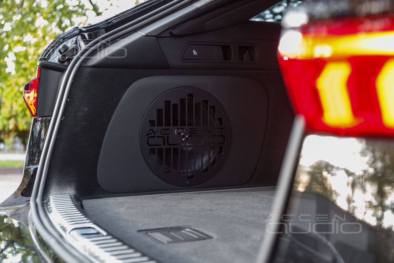 Сабвуфер-стелс с головкой от Dego специально для Audio RS6 Avant