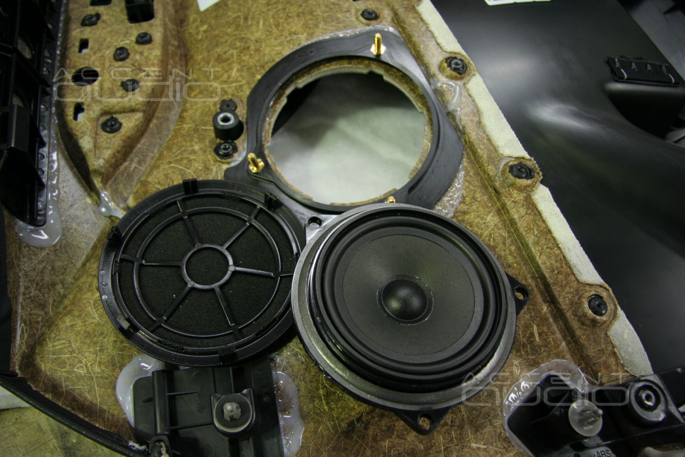 Среднечасотники Audax в дверях BMW X1