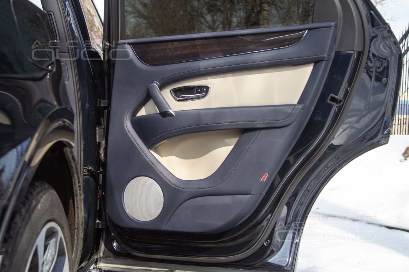 Великолепная бумага из Дании: ScanSpeak 18W/4531G01 в дверях Bentley Bentayga