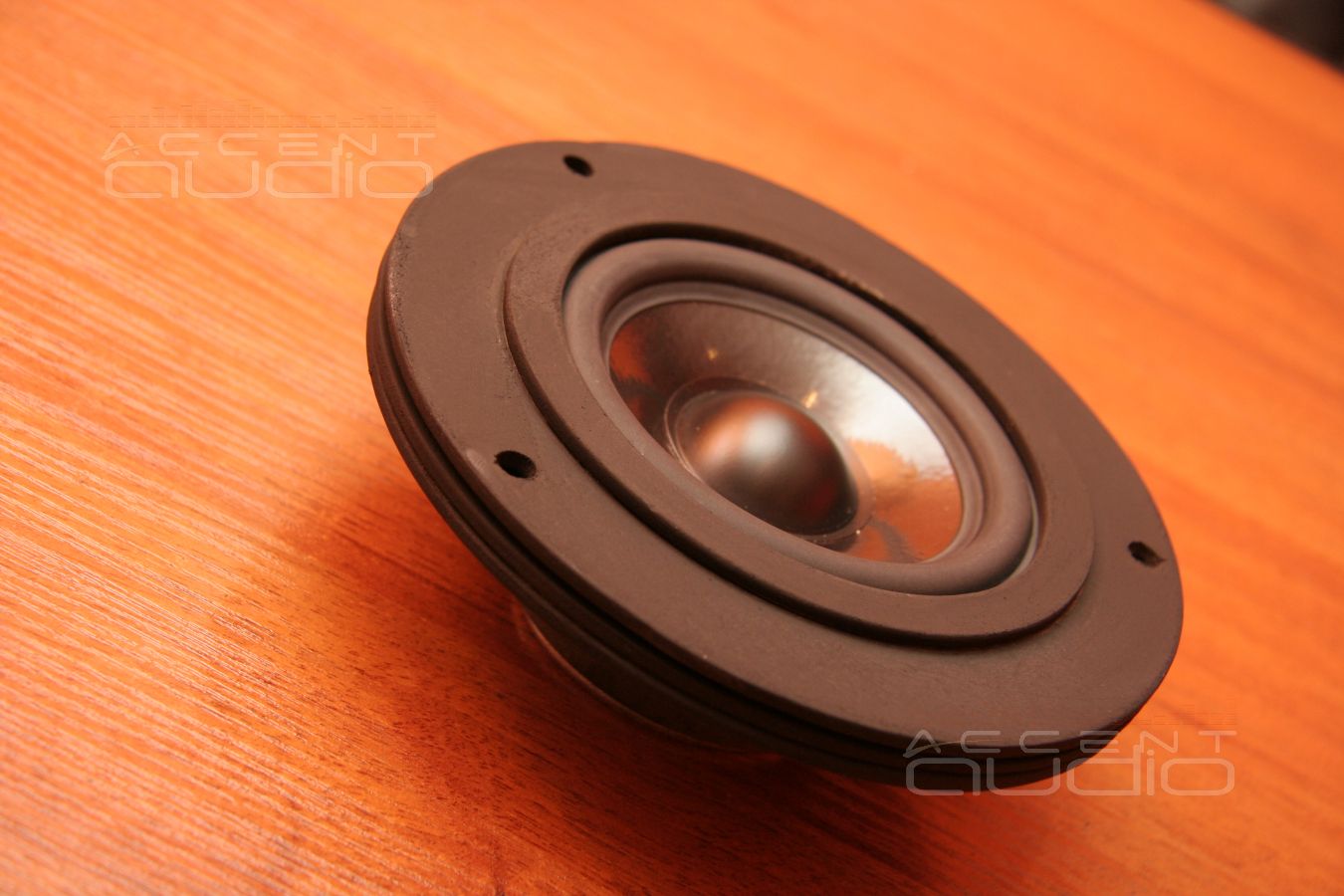 Среднечасотники Audax в дверях BMW X1