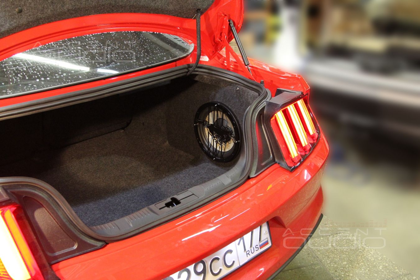 Сабвуфер стелс в Ford Mustang