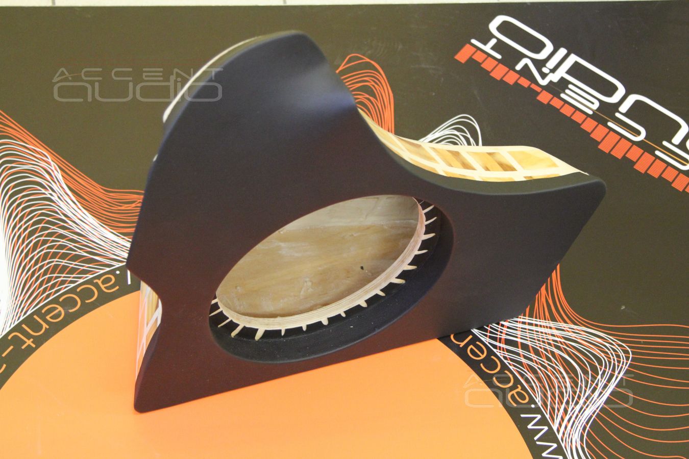 Скорлупу – в помойку: настоящий стелс из дерева