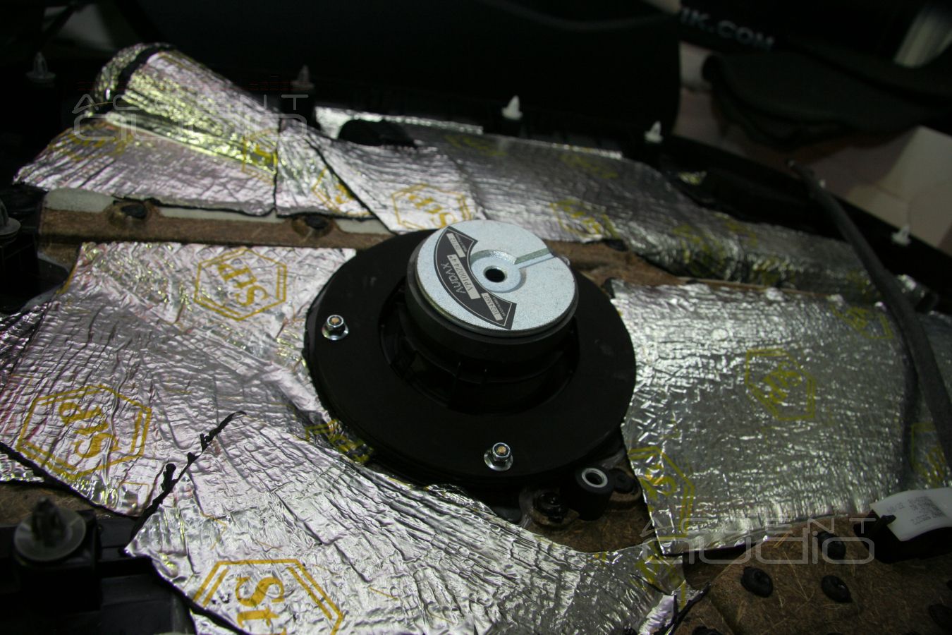 Среднечасотники Audax в дверях BMW X1