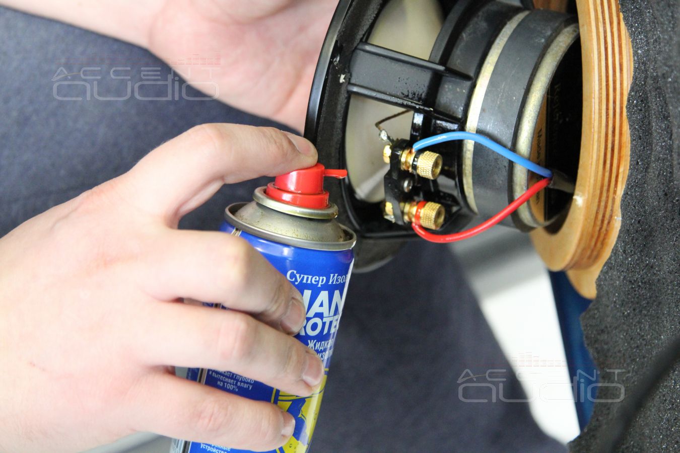 Установка акустики и шумоизоляция дверей Skoda Rapid