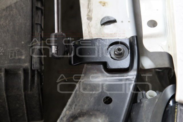 Газовые упоры капота, фонарики в дверях и молдинги для Volkswagen Tiguan