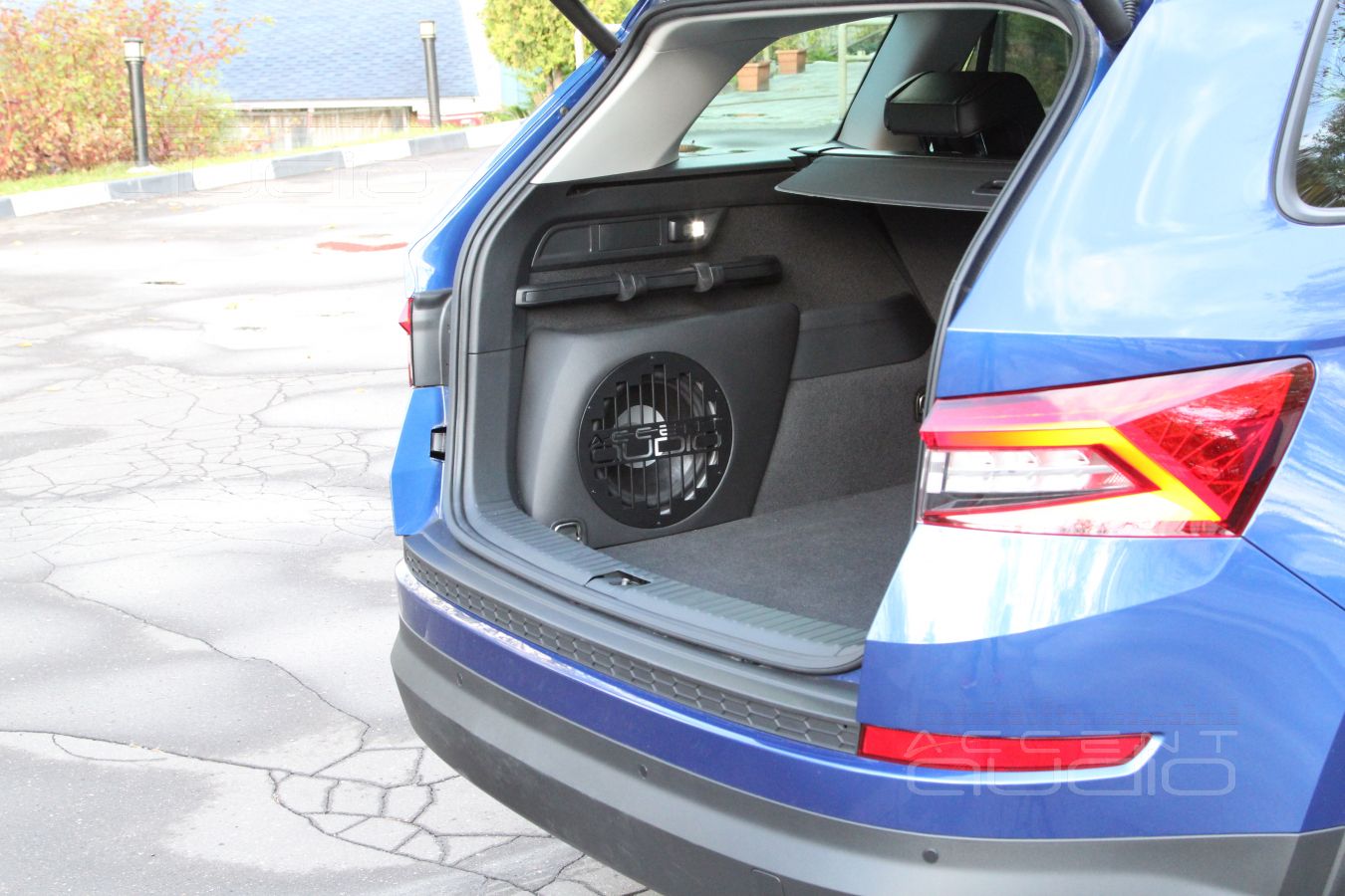 Сабвуфер-стелс: не столько для Kodiaq, сколько для Rainbow 10 Profi line