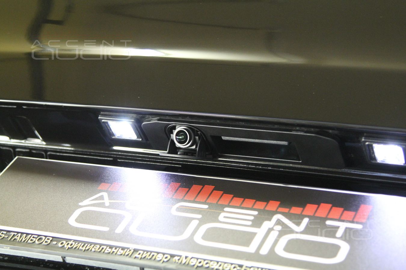 Камера заднего вида, Vito и Alpine