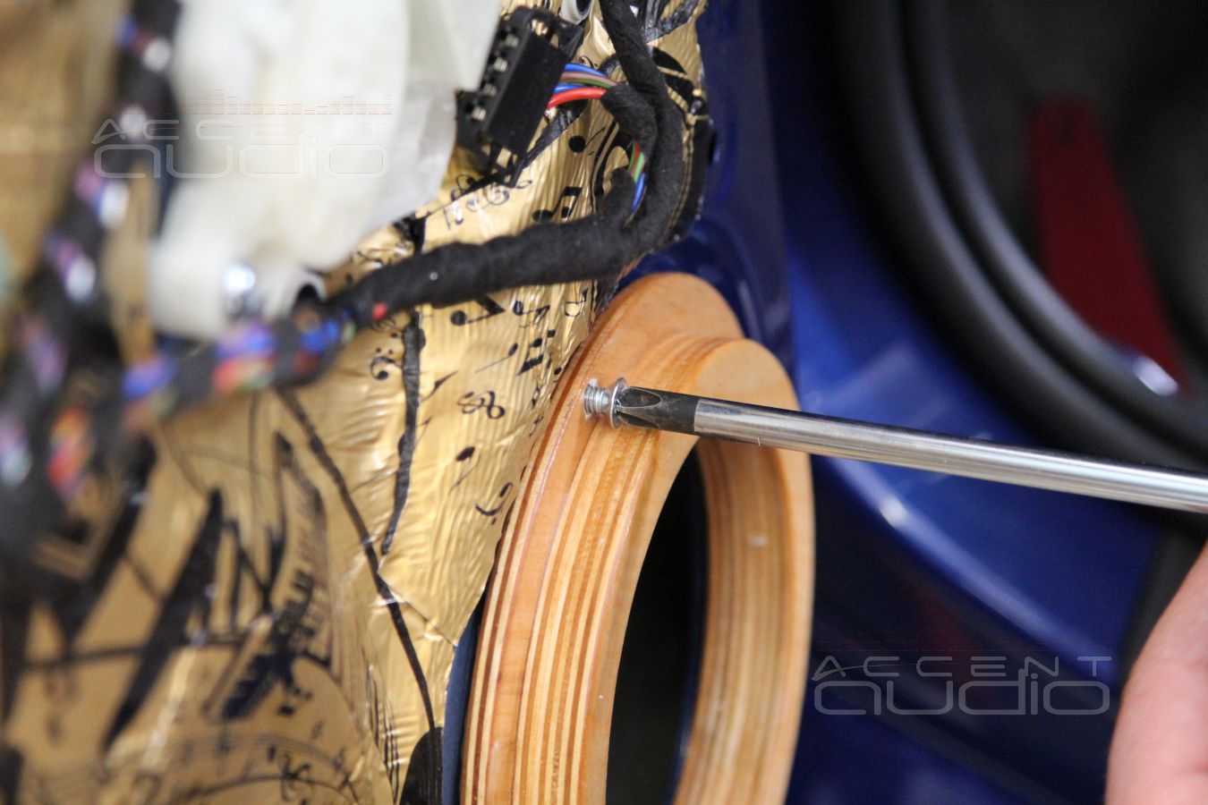 Установка акустики и шумоизоляция дверей Skoda Rapid