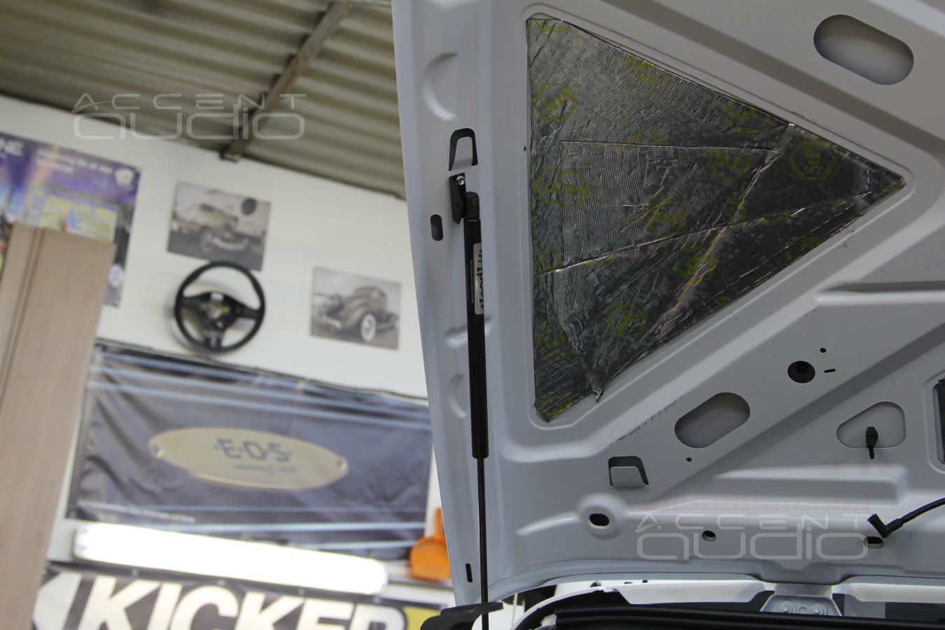 Замки капота из нержавеющей стали и газовые упоры