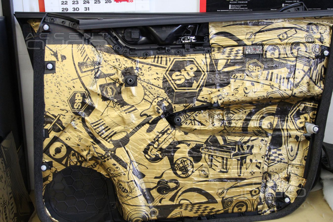 Установка акустики и шумоизоляция дверей Skoda Rapid