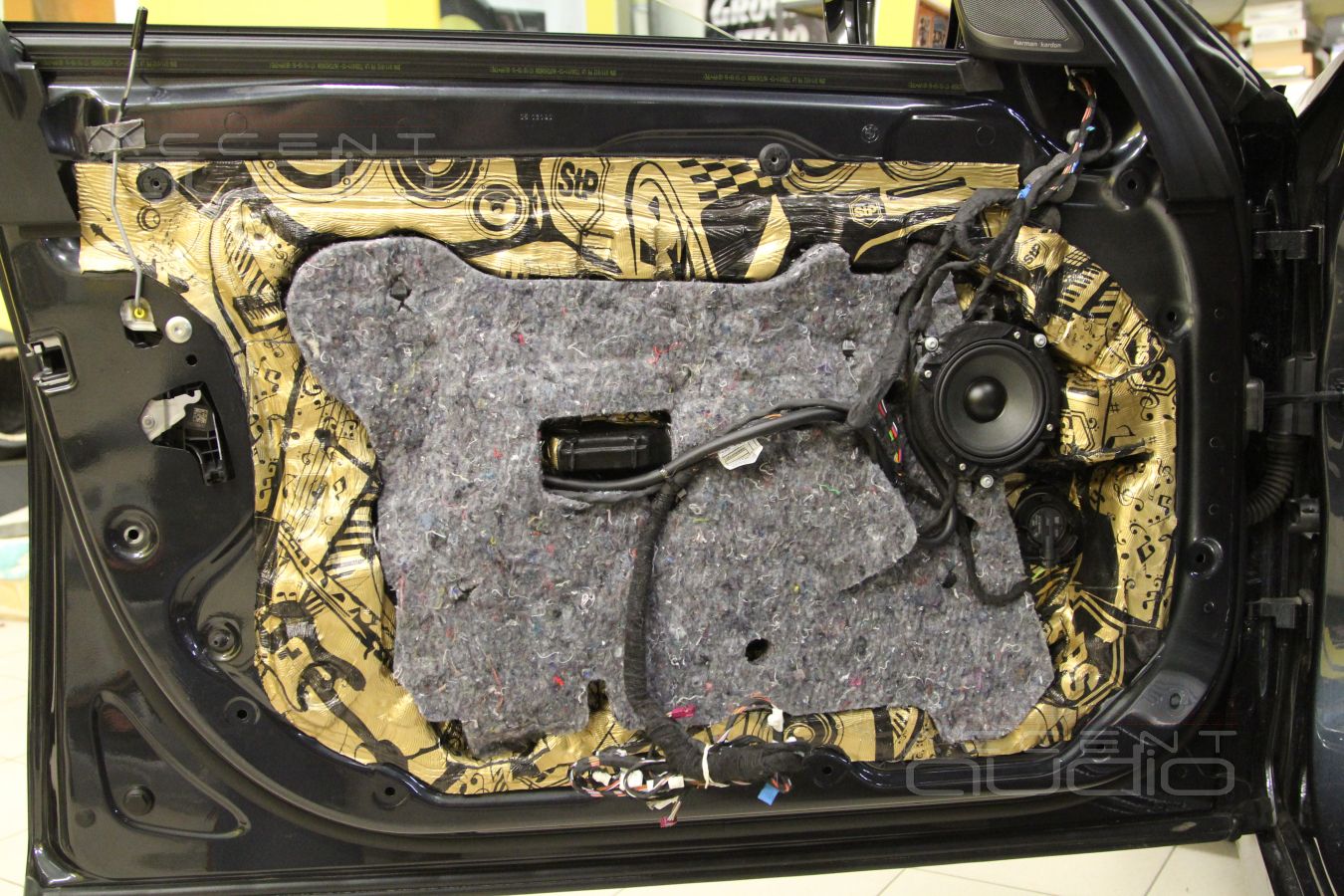 Установка твитеров и среднечастотных излучателей Dego в передние двери BMW 730LD