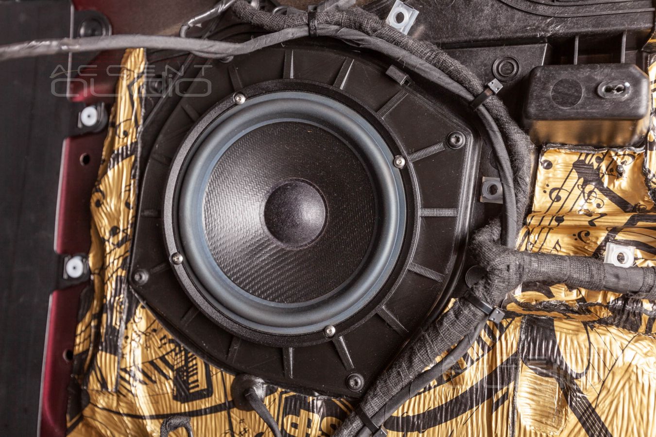 Аудиоподготовка дверей и установка новых динамиков SOaudio SO165/38