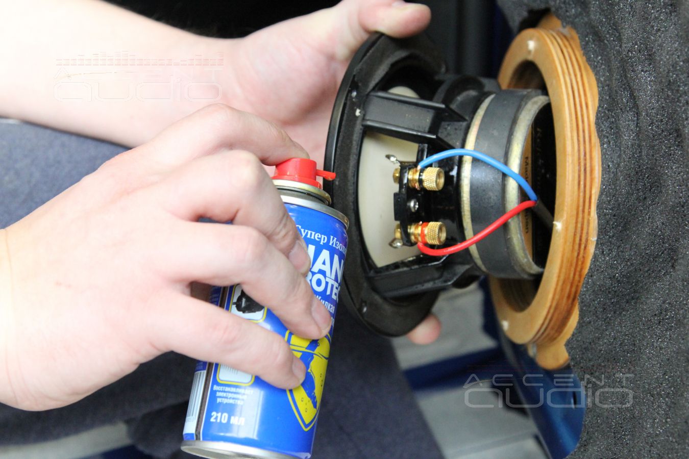 Установка акустики и шумоизоляция дверей Skoda Rapid