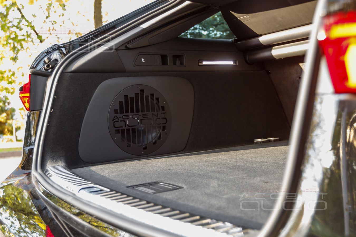 Сабвуфер-стелс с головкой от Dego специально для Audio RS6 Avant