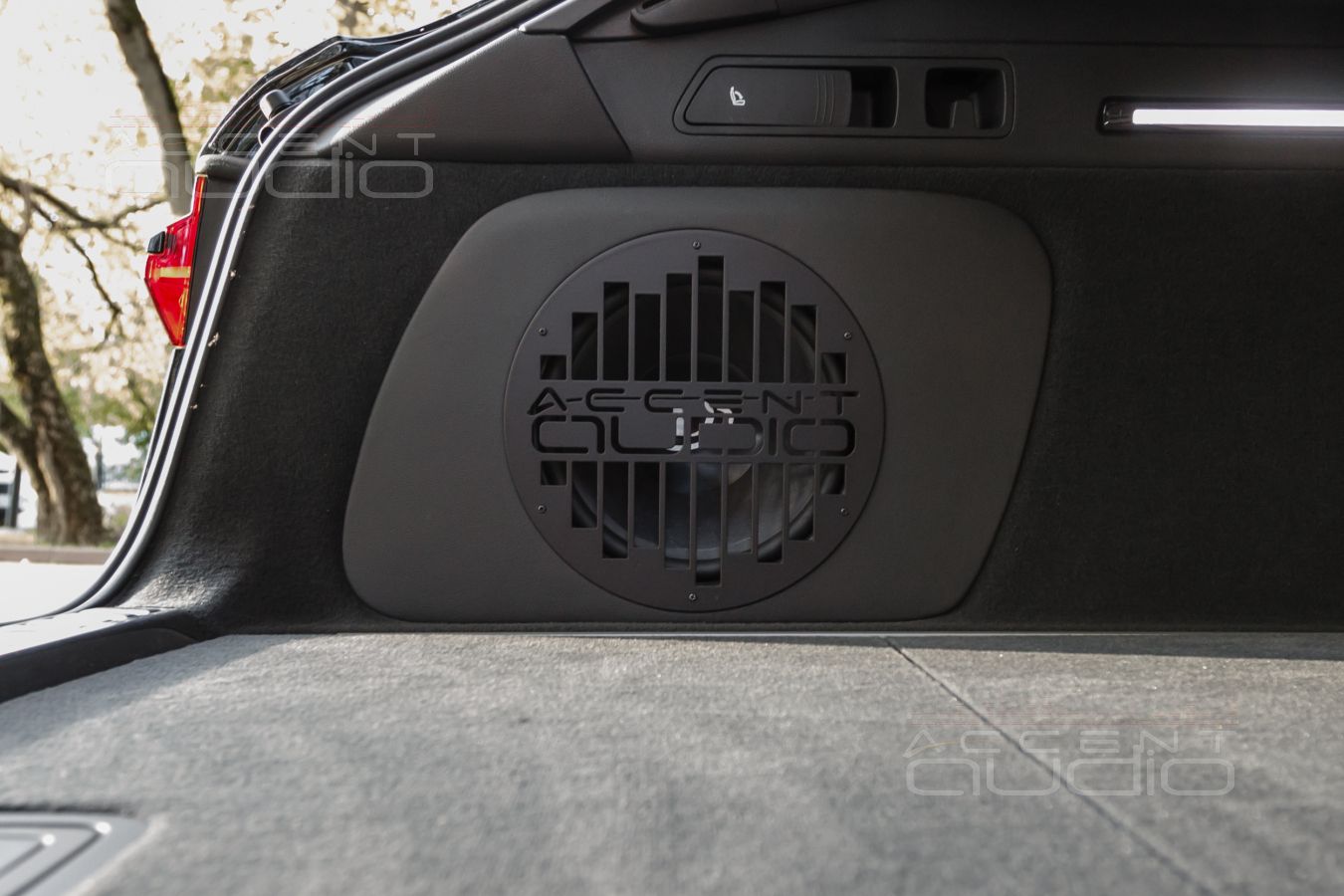 Сабвуфер-стелс с головкой от Dego специально для Audio RS6 Avant