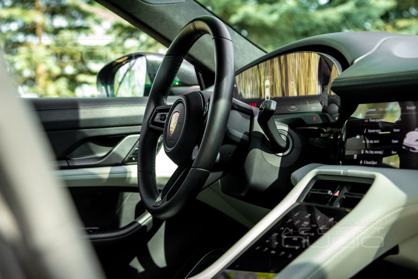 Явные отличия настоящей аудиосистемы от Burmester в Porsche Taycan