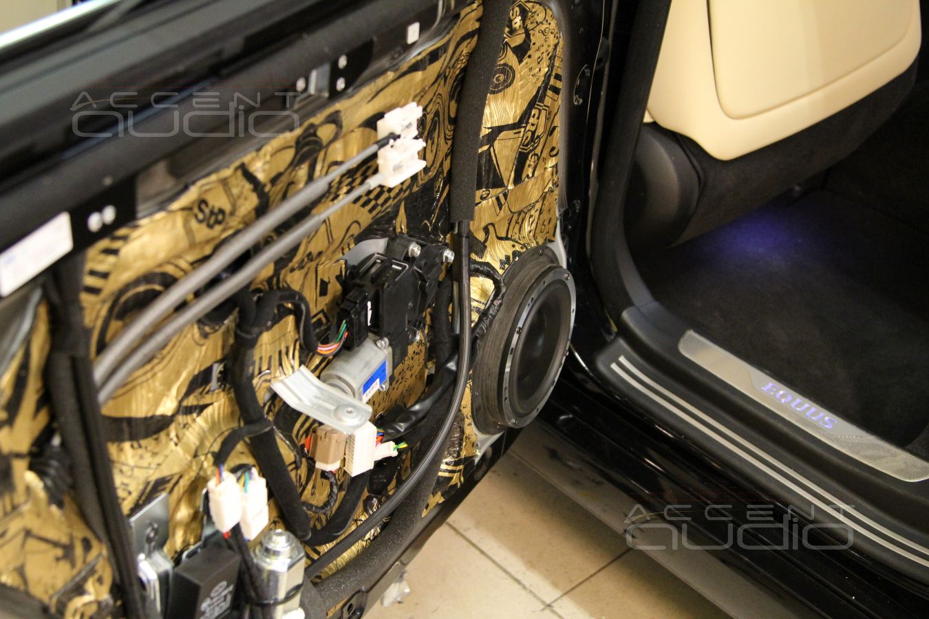 Morel Elate Titanium MW6