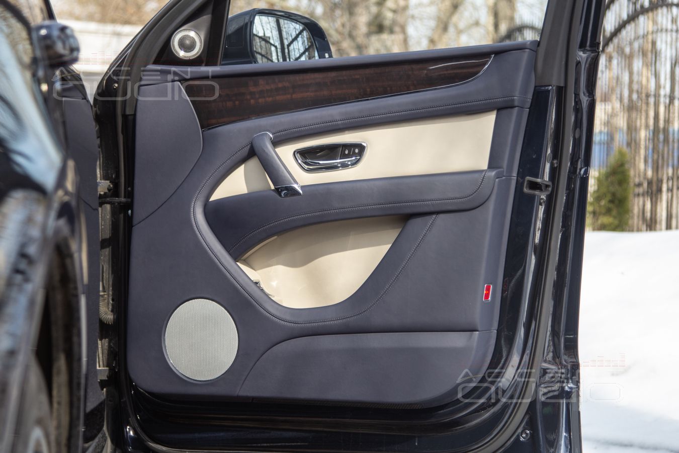 Великолепная бумага из Дании: ScanSpeak 18W/4531G01 в дверях Bentley Bentayga