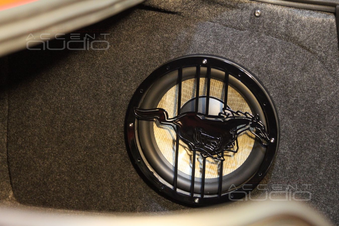 Сабвуфер стелс в Ford Mustang