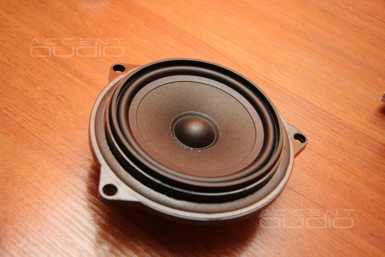 Среднечасотники Audax в дверях BMW X1