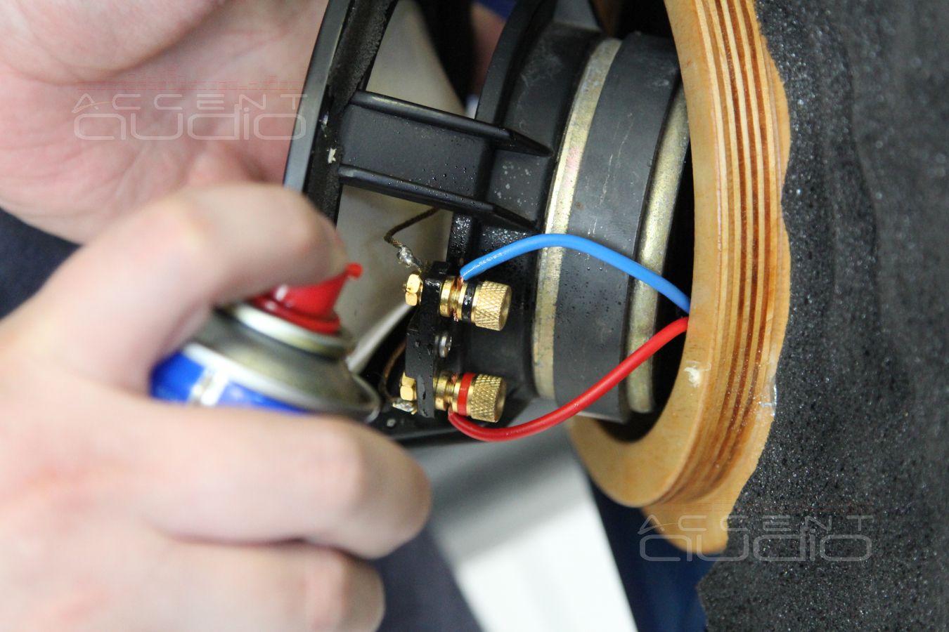 Установка акустики и шумоизоляция дверей Skoda Rapid