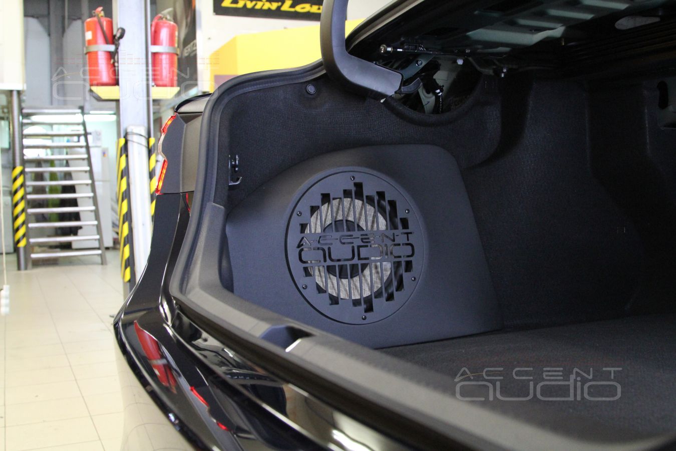 Стелс Accent-Audio для новой Toyota Camry