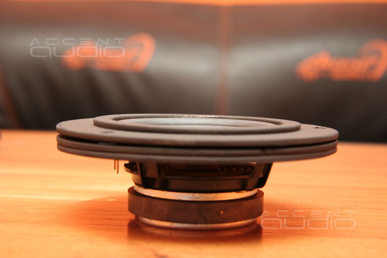 Среднечасотники Audax в дверях BMW X1