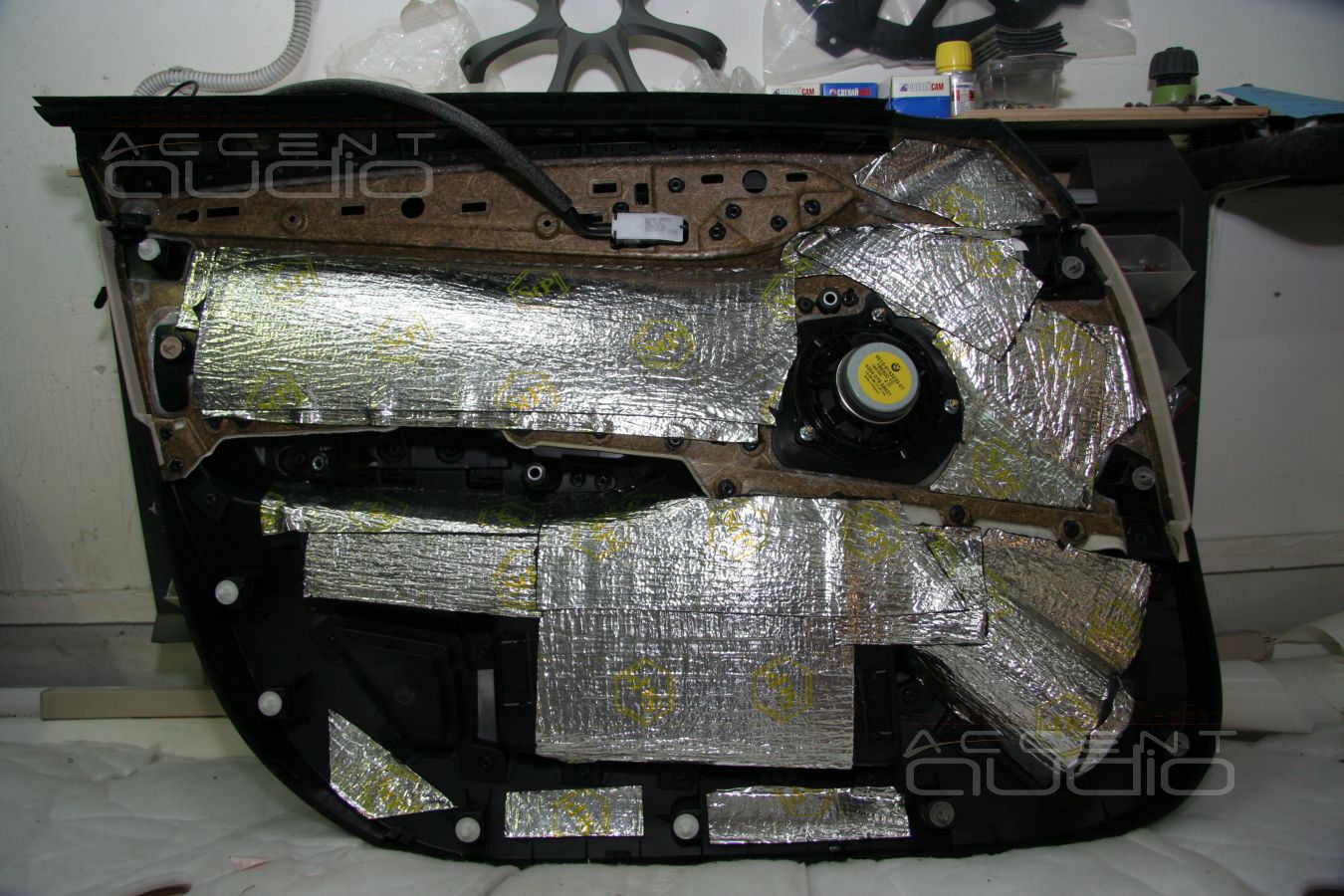 Среднечасотники Audax в дверях BMW X1