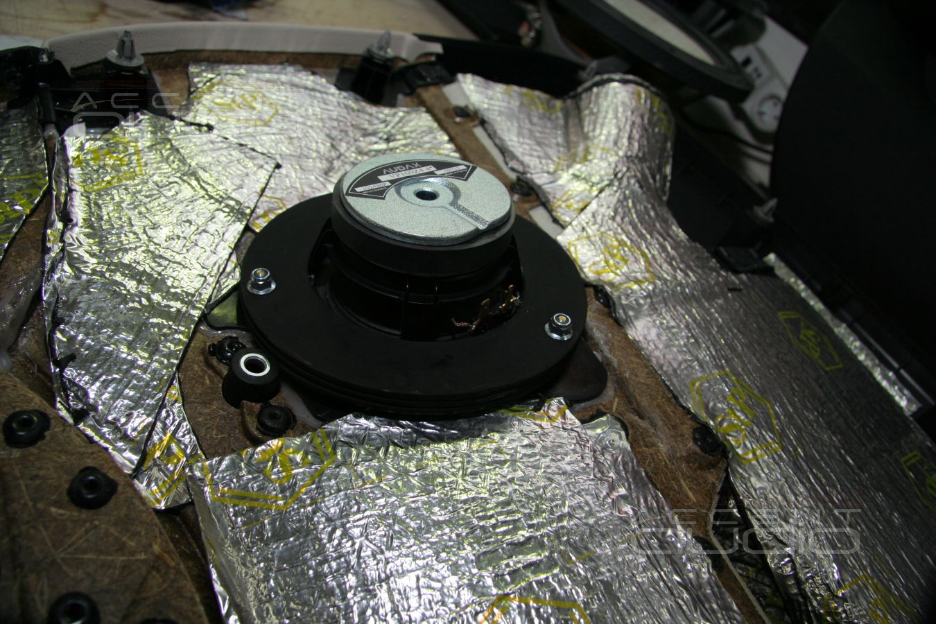 Среднечасотники Audax в дверях BMW X1