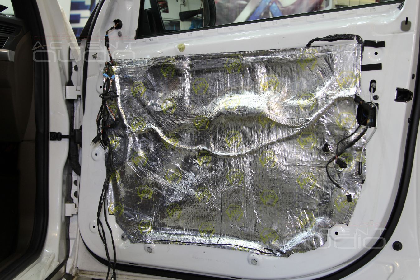 Процесс установки динамиков в двери BMW X5